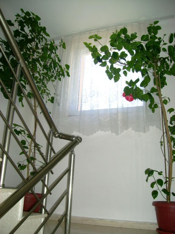 Guest House Jumbo Aheloy Exterior foto